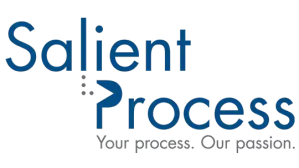 Salient Process